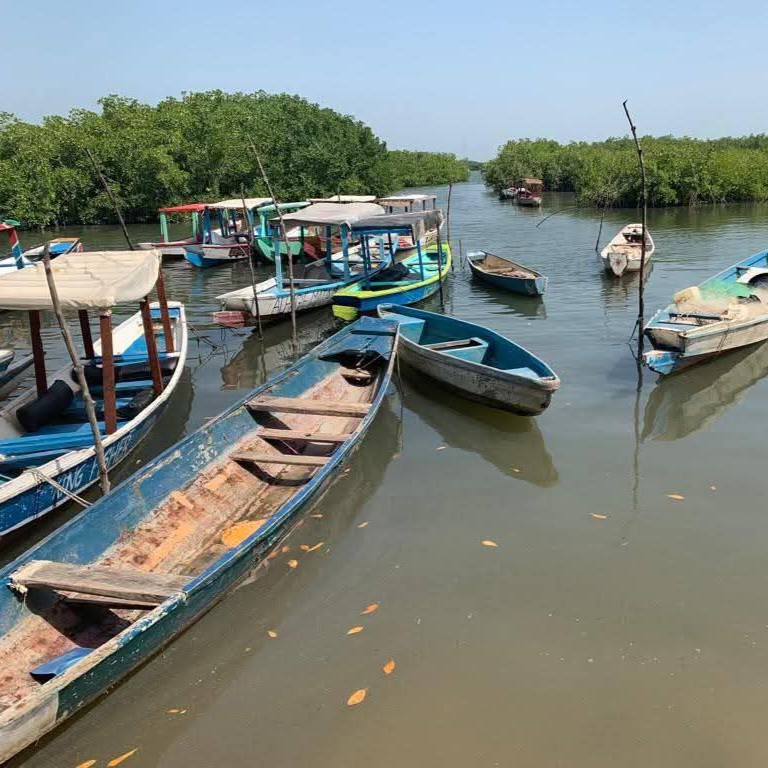 gambia_tours_laminlodge_kassamatours1
