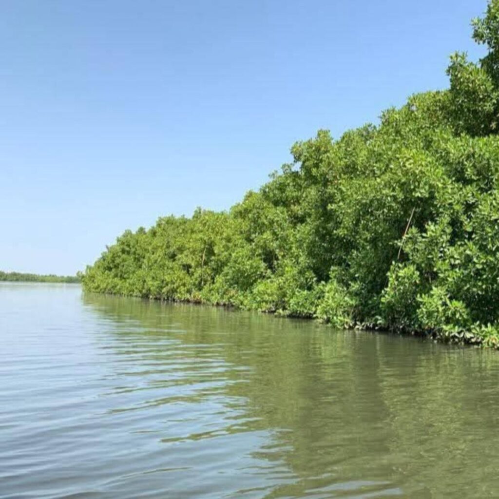 gambia_tours_laminlodge_kassamatours2_2