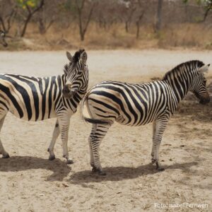gambia_kassamatours_safari_fathala1
