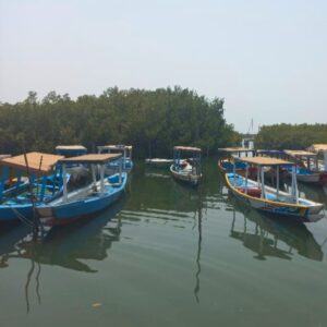 tours_gambia_kassamatours_laminlodge