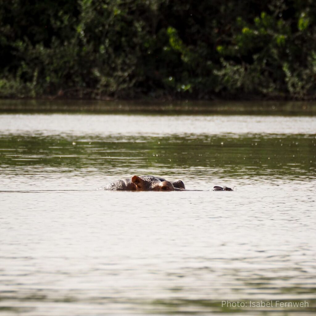 gambia_kassamatours_kuntaur