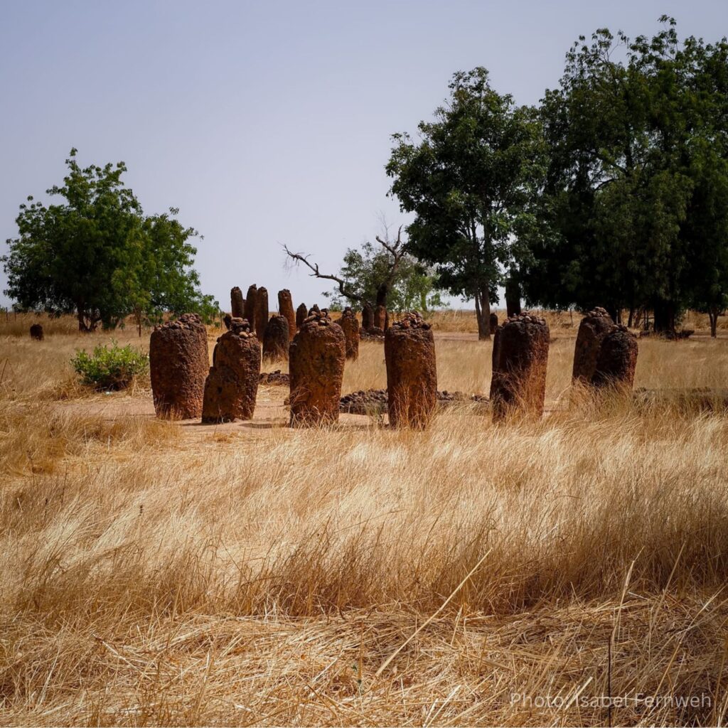 gambia_kassamatours_wassustonecircles2